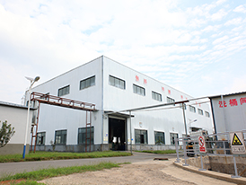 Company